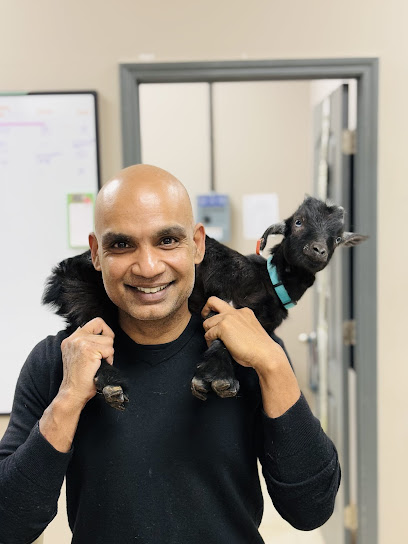 Care Pet Animal Hospital