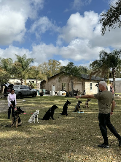 Got Your Back K9 Life