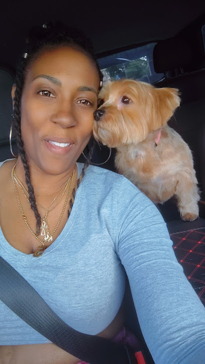 Precious Angels Dog Grooming, LLC