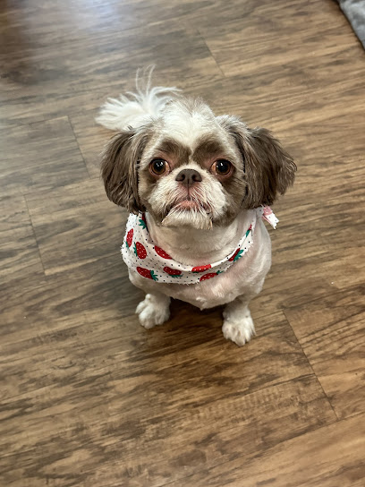 Perfect Pooch Mobile Salon