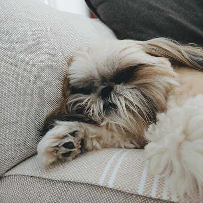 Greenwich Canine Concierge LLC