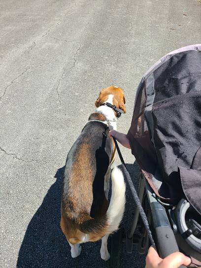 Total Control Canine