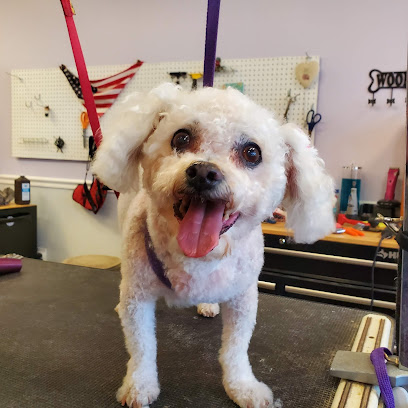 The Mobile Grooming Room