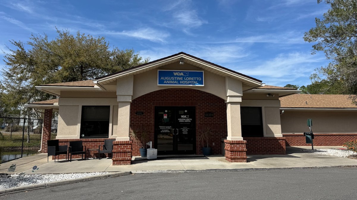 VCA Augustine Loretto Animal Hospital - Photo 2