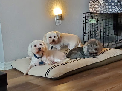 Mandarin Pet Grooming