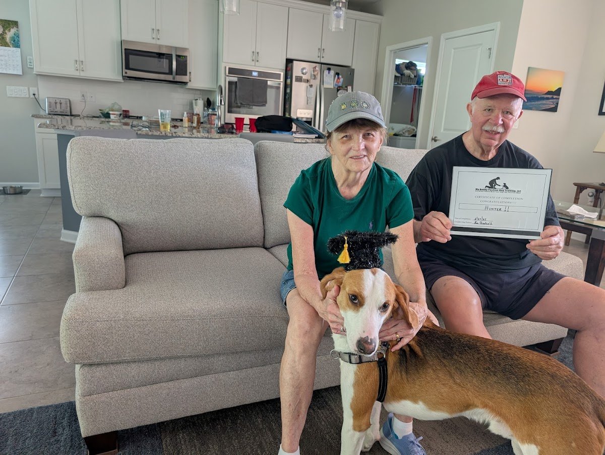 My Buddy Positive Dog Training - Photo 2