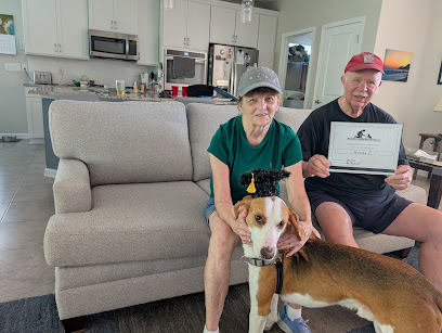 My Buddy Positive Dog Training