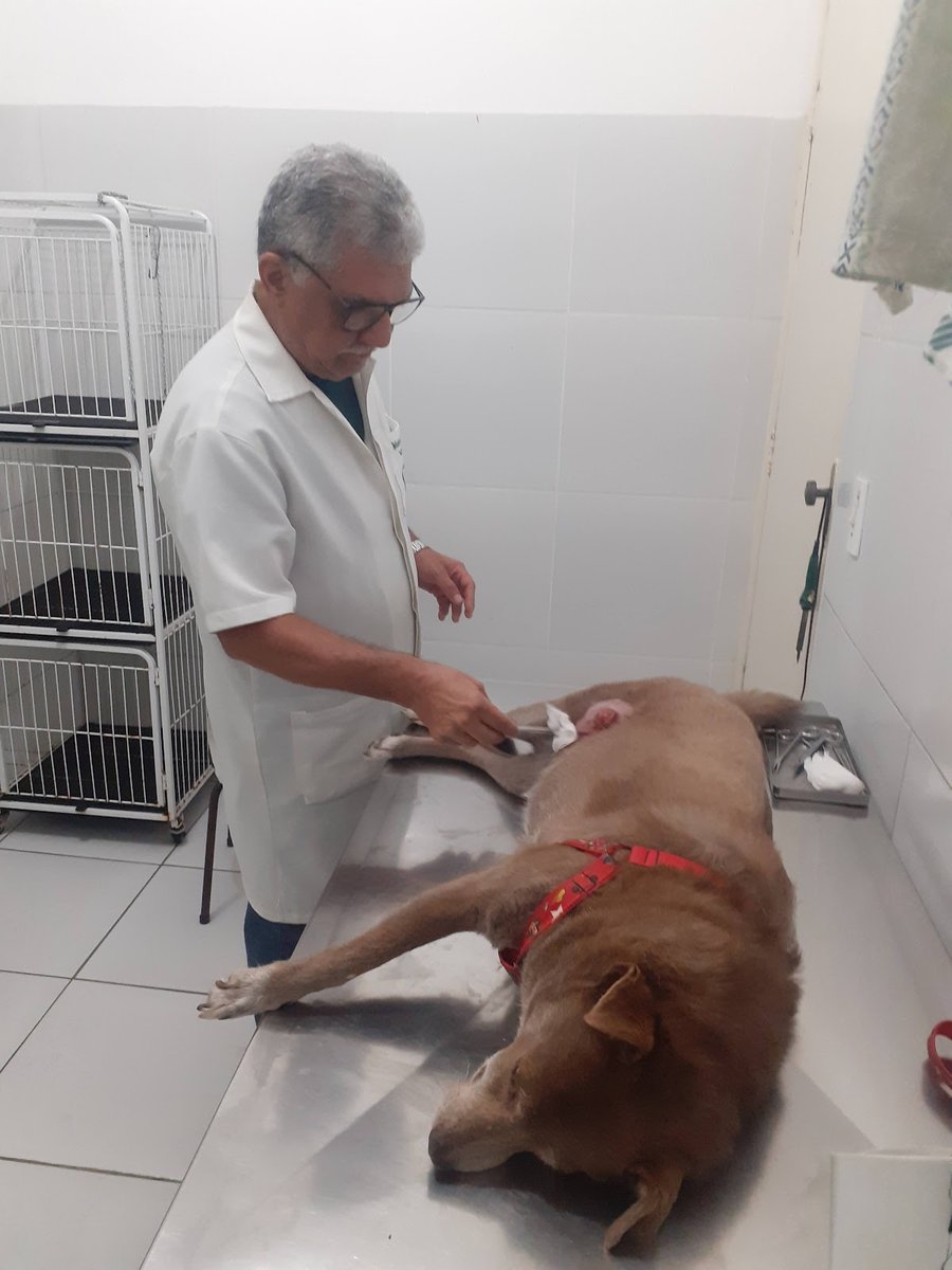 Clínica Veterinária Bom Pastor