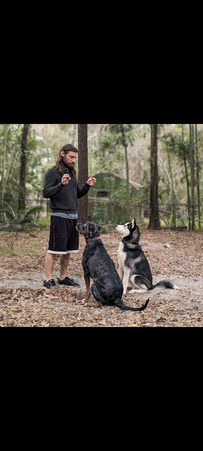 Jurassic Bark Pet Care, LLC