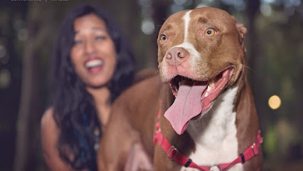 MDMT Dog Training Inc.