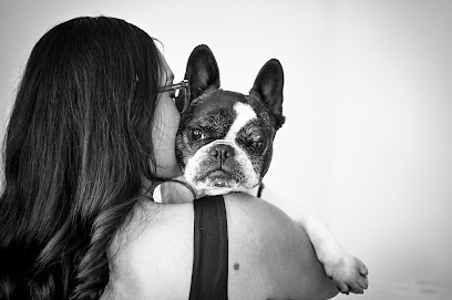 BreAnna's Pet Sitting Services