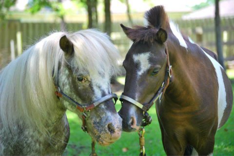 Round Pen Ranch - Photo 2