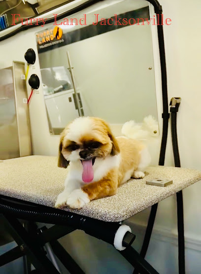 Furry Land Mobile Pet Grooming Jacksonville, FL