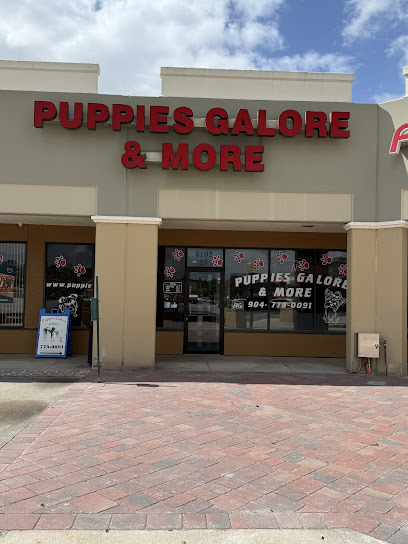 Puppies Galore & More - Pet Shop in Jacksonville