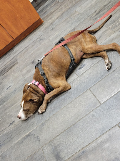 Orange Park Animal CLINIC at Oakleaf - Pet Shop in Jacksonville