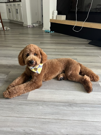 The Barker Shop - Jacksonville, FL