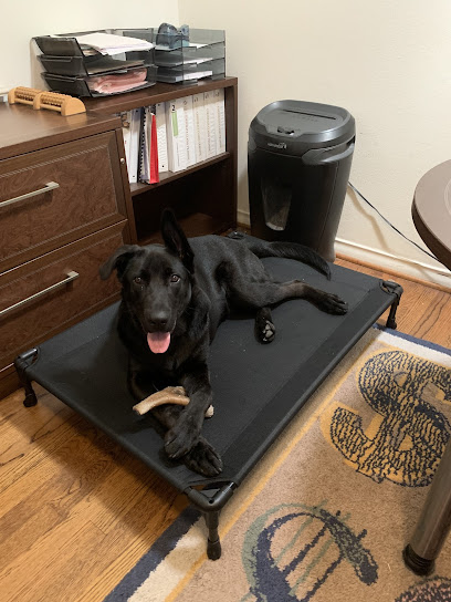 Optimal K9 Obedience & Protection Dog Training