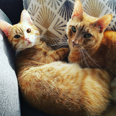 Creekside Critters Pet Sitters