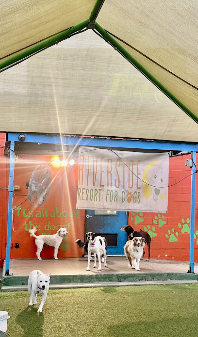 Riverside Resort for Dogs