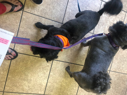 Seminary Animal Grooming & Kennel