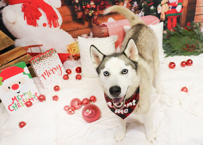 Second Chance Dog Rescue Mansfield