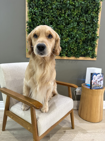 Well Groomed Pets Fort Worth