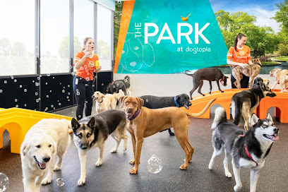 Dogtopia of Fort Worth - City View