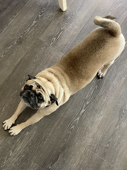 Sweet Souls Pet Care, LLC