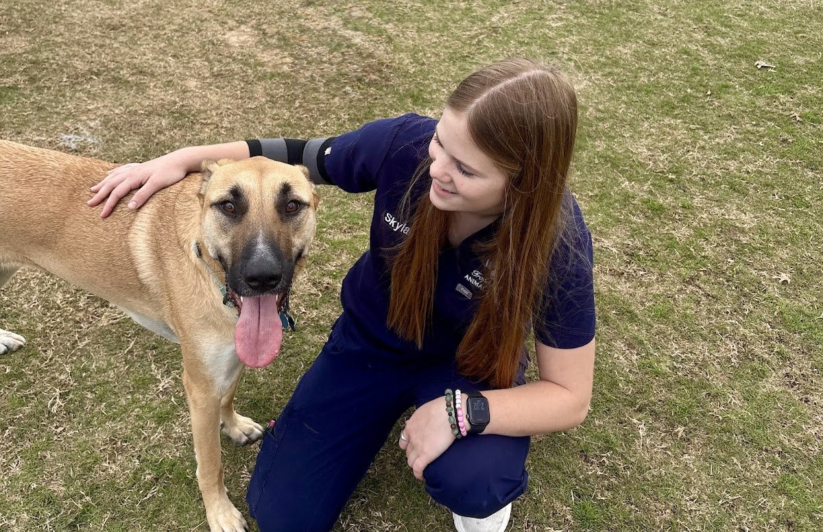 Nova K9 Academy - Photo 2