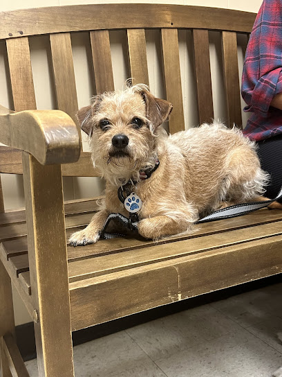 Alta Vista Animal Hospital