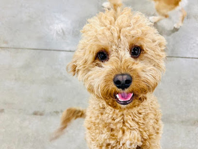 Hounds Town - Western Hills