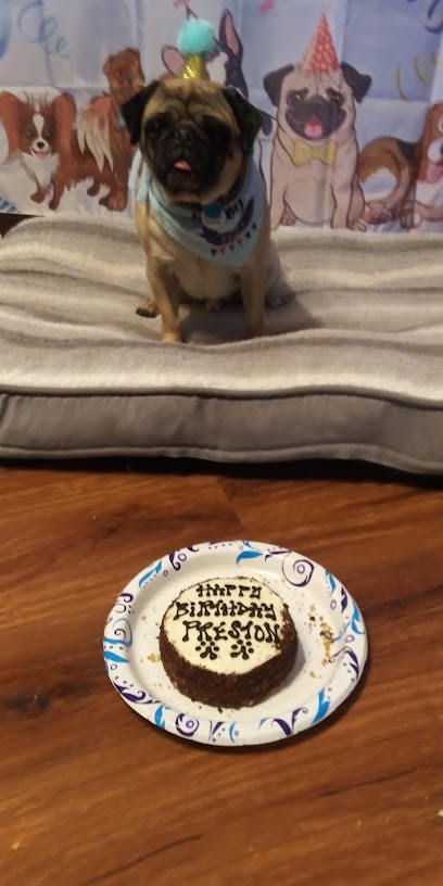 Happy Tails Dog Sitting - Your dogs home away from home