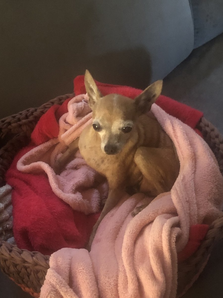 Clínica e Laboratório Veterinário Clinvep