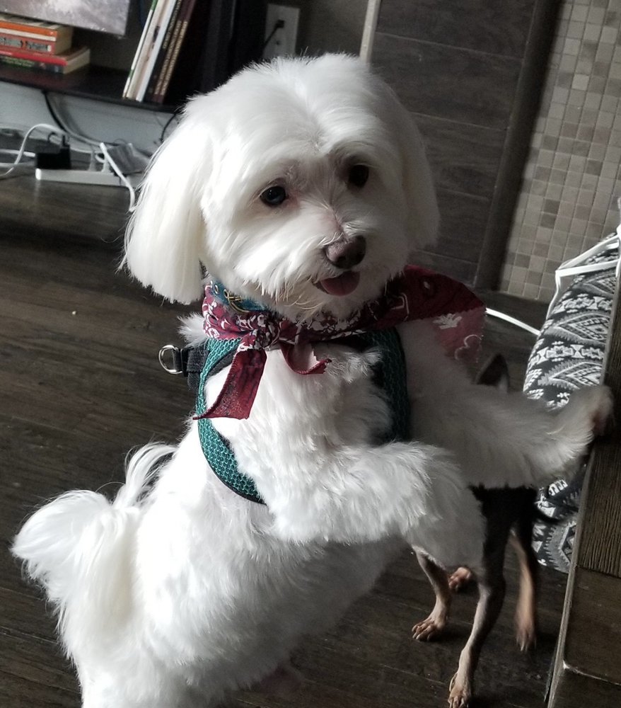 Bella&Bella - Photo 2