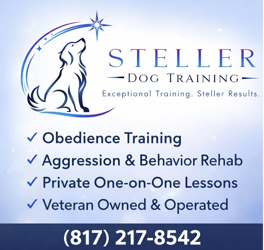 Steller Dog Training - Photo 2