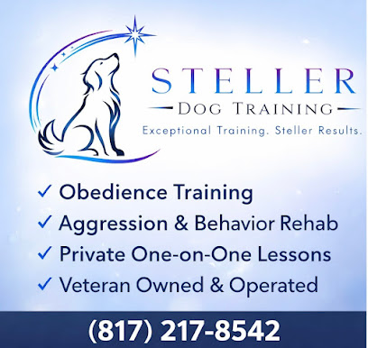 Steller Dog Training - Pet Shop in Fort Worth
