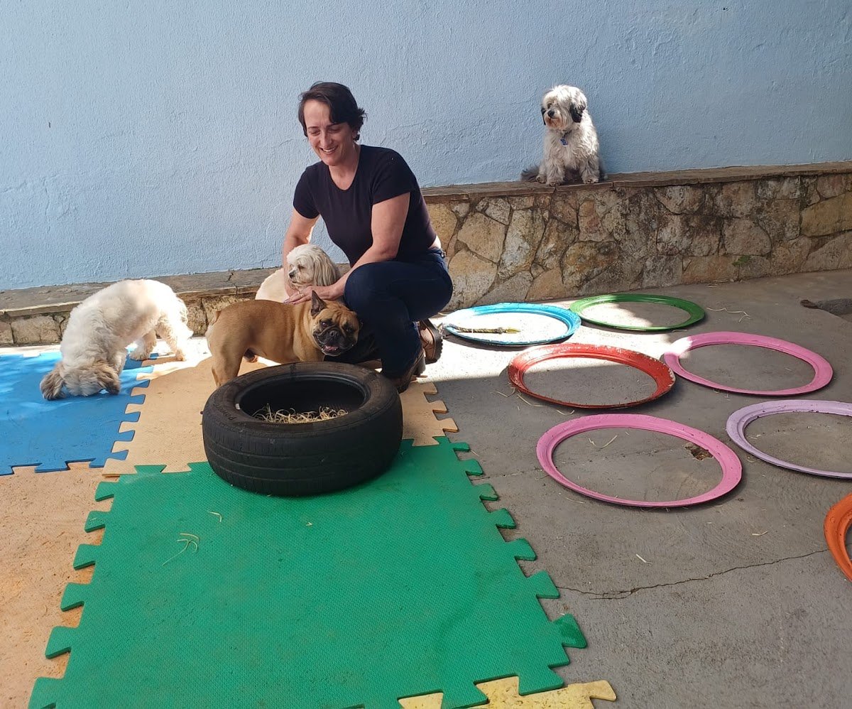 Pet House Casas p/ Crianças, Cães e Playgrounds - Pet Shop em Camaquã