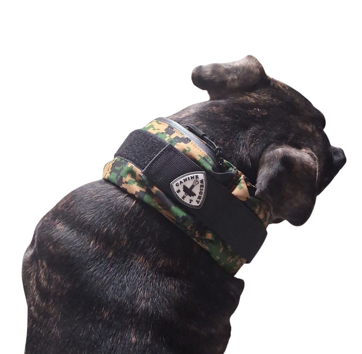 CANINE WEIGHT SET - Photo 2