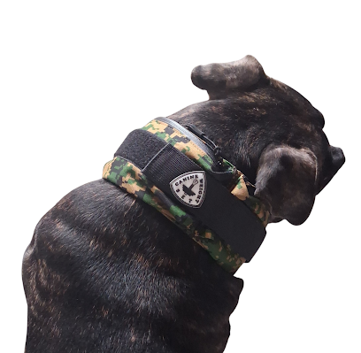CANINE WEIGHT SET - Pet Shop in Fort Worth