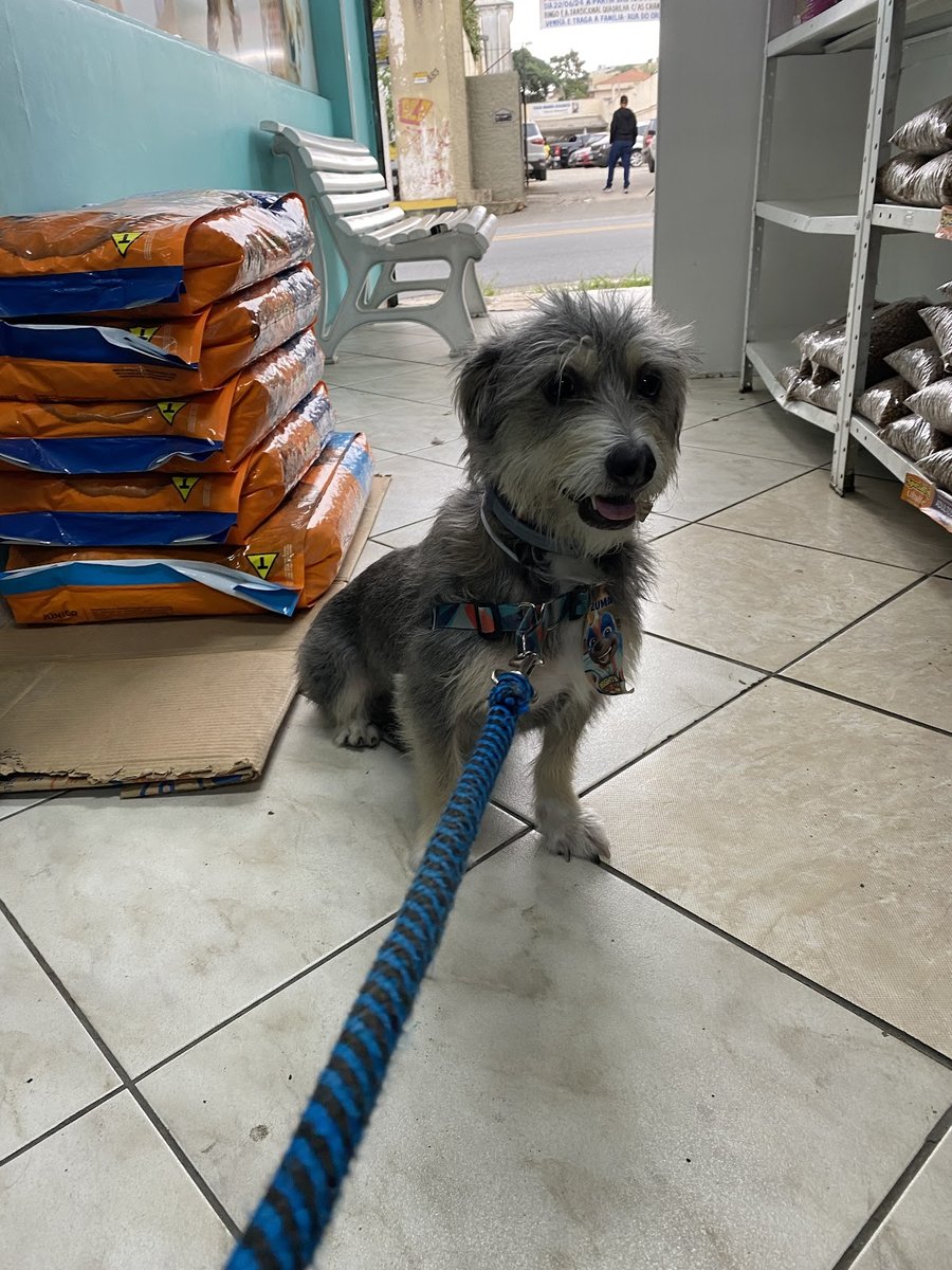 Clínica Veterinária Casa dos Bichos