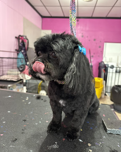 Barkin Dogs & Waggin Tails Pet Salon
