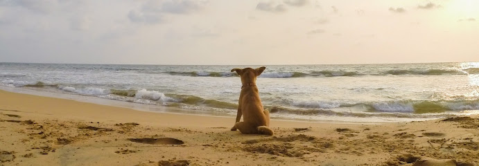 Pet Cremation Services Inc