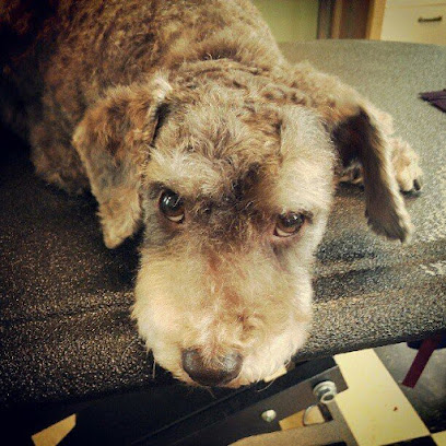 Furvana Mobile Grooming