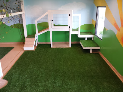 I. B. Spoiled Doggy Daycare