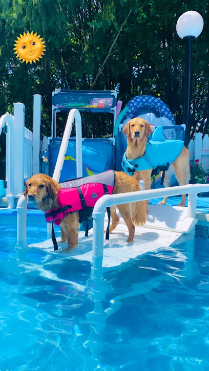 Chaeslyn’s Furrrever Pawsitting, LLC.