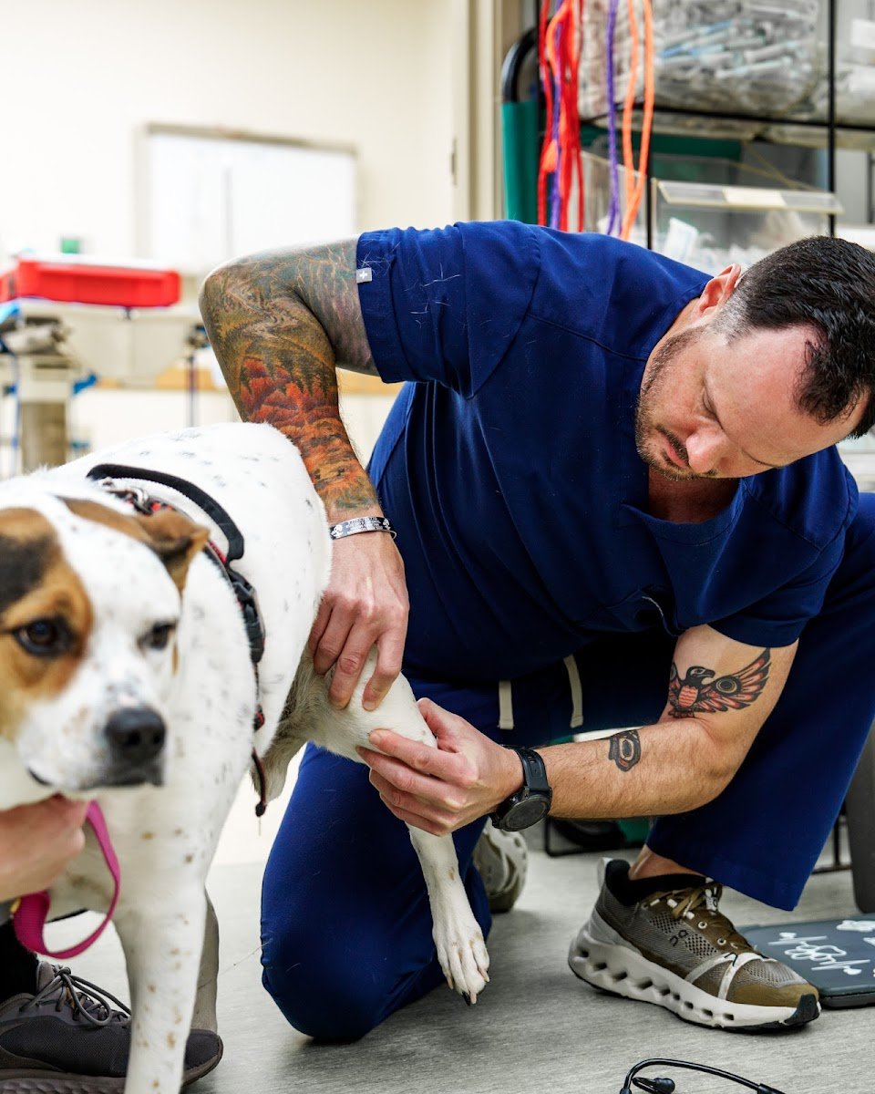 On The Spot Mobile Specialty & Veterinary Services - Photo 2