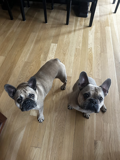 Tails on Trails and More 614