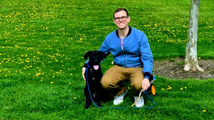 Out of This World Dog Training