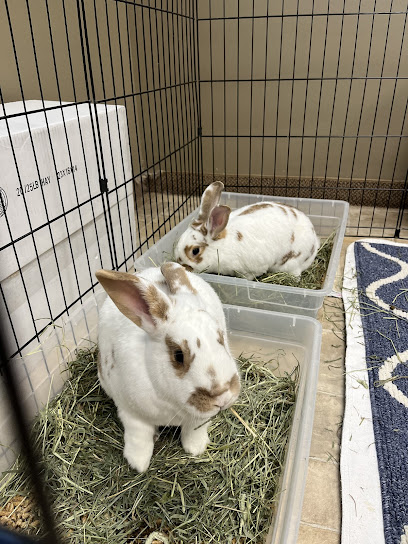 Ohio House Rabbit Rescue