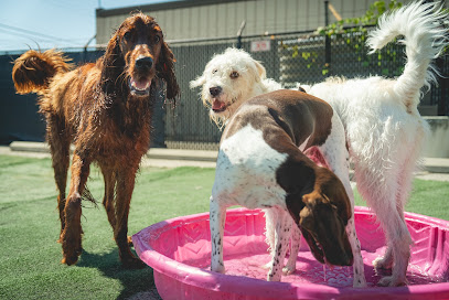 Pathways to Independence of Central Ohio - Pet Shop in Columbus